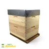 Kit débutant apiculture